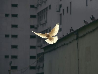 sunguk-kim-JhqBxsORuXA-unsplash